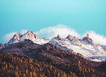 Xingkong Yule-【科普】国安尚未锁定明年亚冠席位 沪上双雄仍有戏